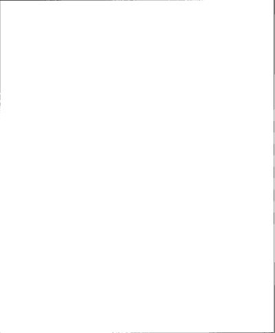00290_00000_290338-1.png page 2
